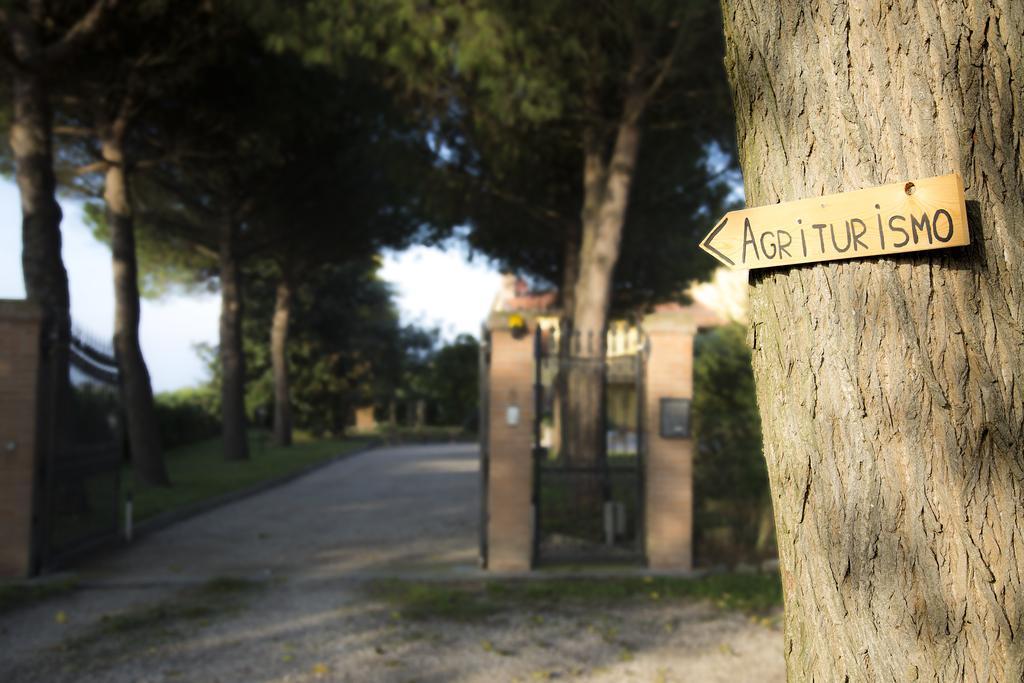 Agriturismo Ae Cavane Codevigo Extérieur photo